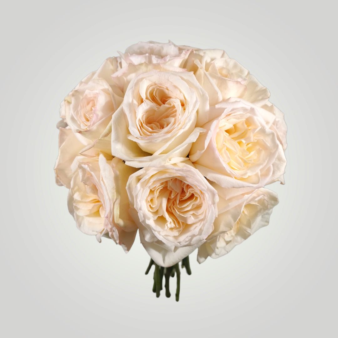 Peliukasflowers 3