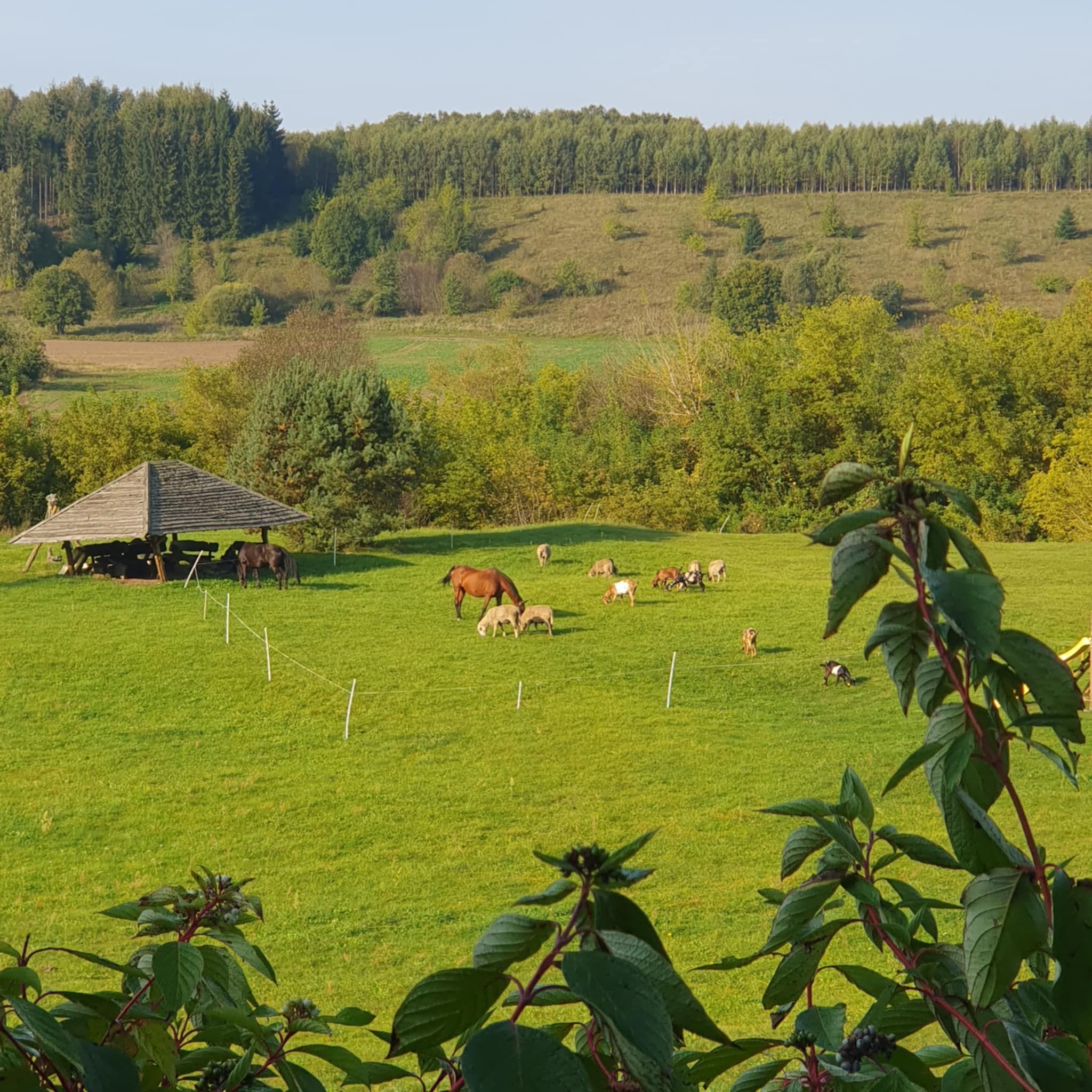 Kaimo turizmo sodyba "Gaja" - Vila 4