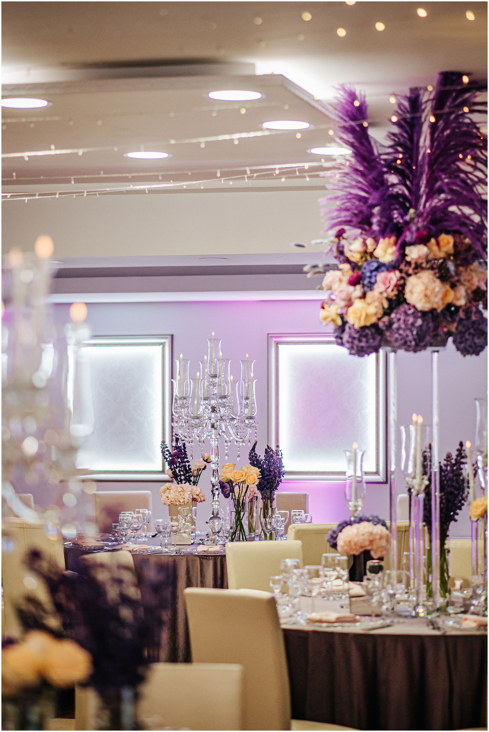 Selavy 5